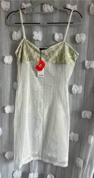 CIDER Lace Bust Sheer Slip Dress in Light Sage and white thumbnail 1
