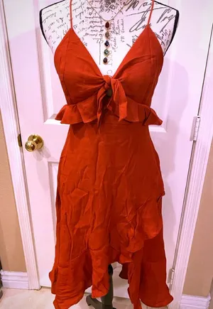 NWT Rust ESSUE Dress L w/ crossover back & lining thumbnail 1