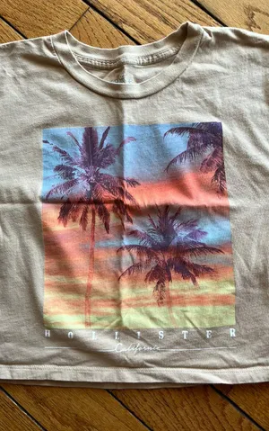 Hollister Tan Cropped Graphic Tee thumbnail 4