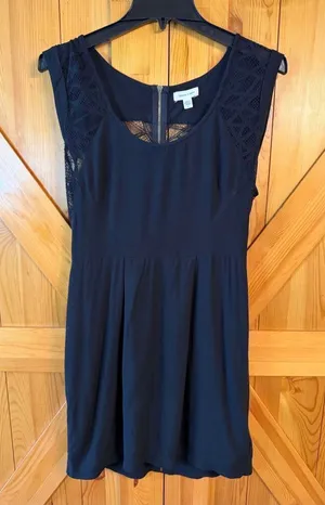 Silence + Noise Black Lace Overlay Sleeveless Mini Dress Size 8 (7143) thumbnail 1