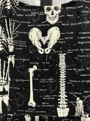 Folter Black Skeleton/Anatomy dress size M thumbnail 3