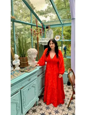 NWT Anthropologie x FARM Rio Red Satin Long-Sleeve V-Neck Jacquard Maxi Dress M thumbnail 11