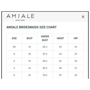 Amsale Sz 0 Cerisa Ruby Bridesmaid Gown Full Chiffon Skirt‎ Ruched Bodice GB033F thumbnail 7