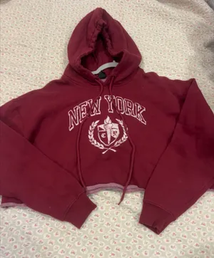wild fable Maroon New York Crest Hoodie thumbnail 1