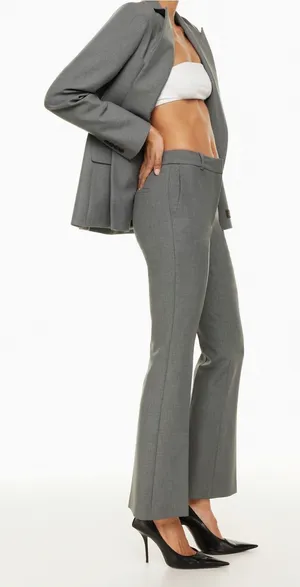 Aritzia Babaton Program Pant in Gray thumbnail 1