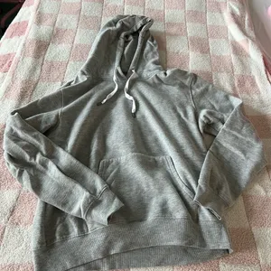 Best Ever Hoodie in Light Gray Size M thumbnail 1