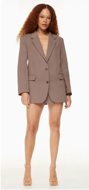 Aritzia Babaton Agency Oversized Single Breasted Blazer Taupe Brown Size Small thumbnail 1