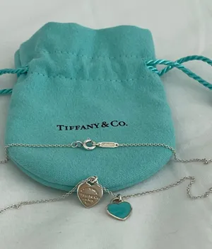 Tiffany & Co. Necklace thumbnail 1