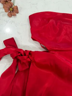 Saints +Secrets Strapless Red Satin Mini Dress with Side Tie Cutout thumbnail 5