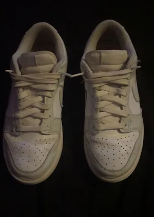 Grey Nike Dunk thumbnail 1