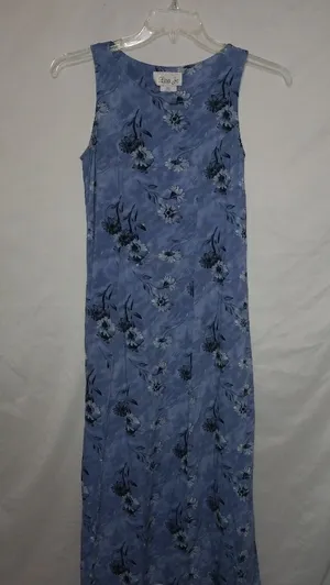 Lisa Jo 5/6 Blue Flowered Maxi Dress thumbnail 1