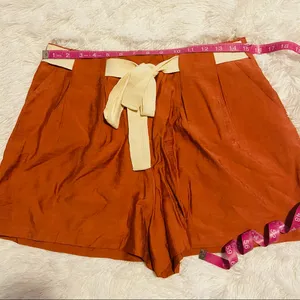 All in Favor Front Tie Pleated Terracotta Shorts thumbnail 6