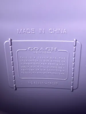 Coach Purse thumbnail 10