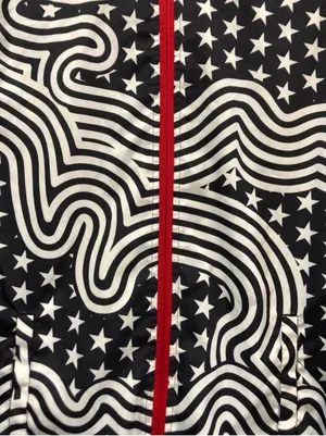 Ideology Stars & Stripes Flag Windbreaker Jacket thumbnail 2