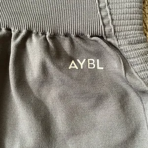 AYBL Gray Seamless Shorts thumbnail 3