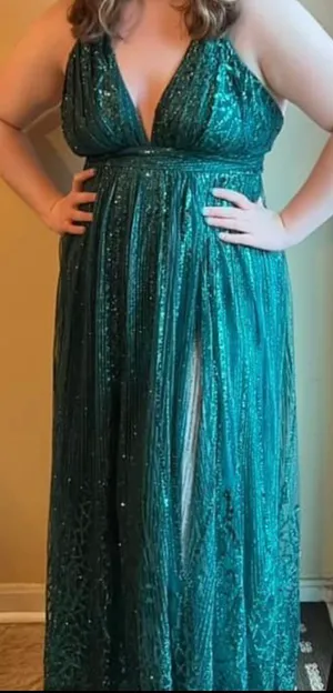 Showpo Dress thumbnail 1
