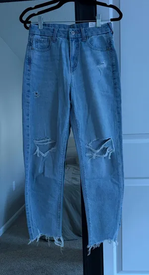 American Eagle Strigid Curvy Mom Jeans thumbnail 1