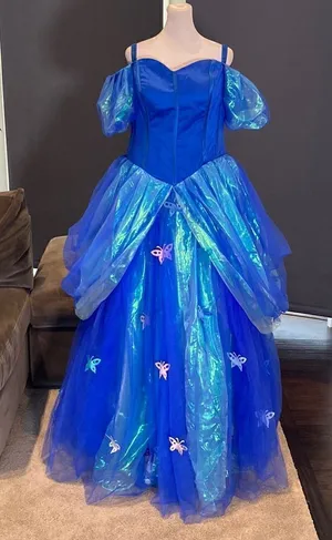 Gorgeous Fairy Tale Cinderella Dress with Butterflies Size 14 NWT thumbnail 1