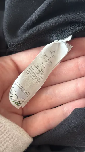 Aerie Crossover Shorts OFFLINE by Real Me thumbnail 3