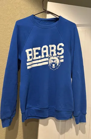 Bears sweatshirt Blue Size M thumbnail 1
