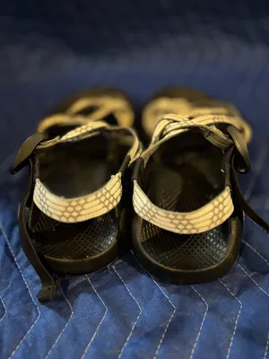Chaco Women's 8 Strappy Sandals in Cream& Gray thumbnail 4