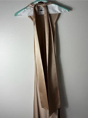 Show Me Your Mumu Lisa Maxi Dress Champagne Satin L thumbnail 4