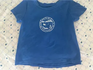 Blue Brandy Melville Top thumbnail 1