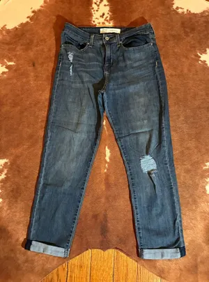 Levi-Strauss signature mid-rise boyfriend size 10 waist 30 thumbnail 1