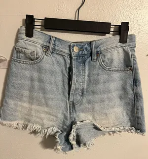 PacSun Shorts thumbnail 1
