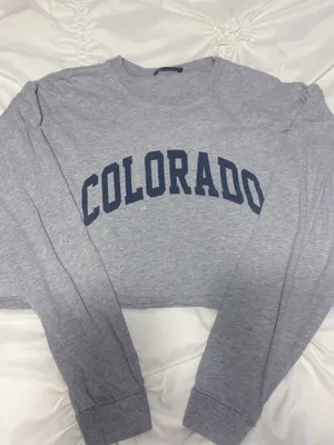 Brandy Melville Graphic Crop Long Sleeve Top thumbnail 1