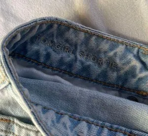 American Eagle Outfitters Tomgirl Shorts thumbnail 4