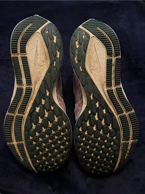 Nike Zoom Pegasus thumbnail 4