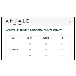 NWT NOUVELLE AMSALE Cait Gown XS thumbnail 6