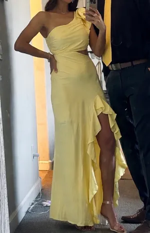 Selfie Leslie Dress thumbnail 1