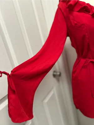 Red Ruffled V-Neck Long-Sleeve Mini Dress thumbnail 3