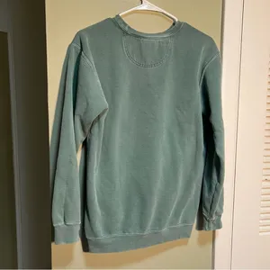 Comfort Colors Women's Size Small Crewneck Sweatshirt Light Green White Virginia thumbnail 5