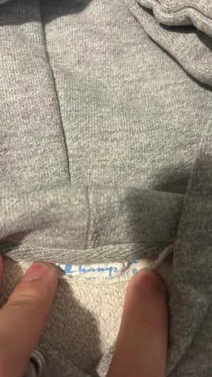 Champion Gray  Hoodie thumbnail 4