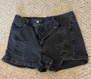 American Eagle Shorts thumbnail 1