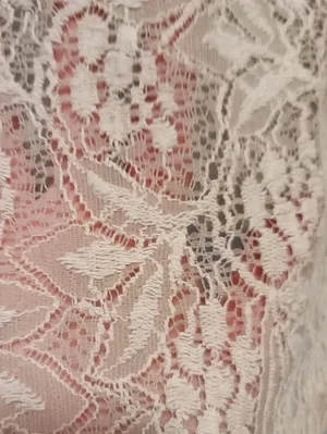 Monteau Los Angeles for Urban Outfitters Cream Lace Top thumbnail 7