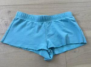 PacSun Sweatshorts thumbnail 1