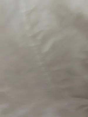 White Playboy T-Shirt thumbnail 5