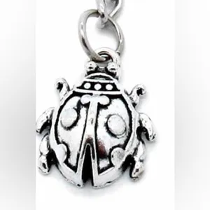 *30off3*‎ NWOT. Ladybug Keychain/Accessory. Makes a perfect gift!​ thumbnail 2