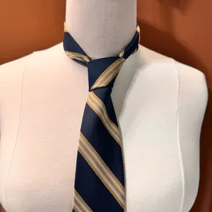 Pierre Cardin Tie Vintage Striped Necktie Blue Multicolor Classic Cravat thumbnail 1