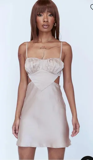 Princess Polly NWOT Mini Dress thumbnail 1