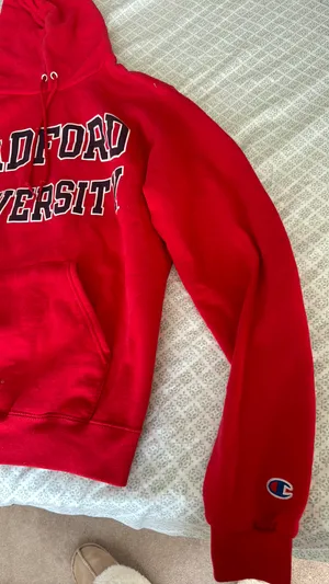 Champion Radford  Hoodie Women thumbnail 3
