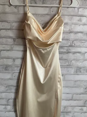 Windsor champagne midi dress thumbnail 8