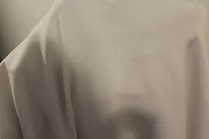White Backless Gown thumbnail 5