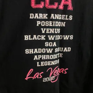 Gildan CCA Conference Of Consulting Actuaries Long Sleeve Shirt L This Is Our Game Day thumbnail 5