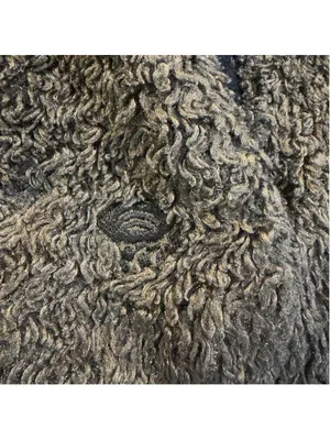 Mountain Hardwear Women’s M Brown Sherpa Fleece Hooded Pullover thumbnail 9