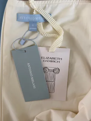NWT Antonio Melani x Elizabeth Damrich Babe Mesh Crepe Soutache Pearl Maxi Dress thumbnail 8